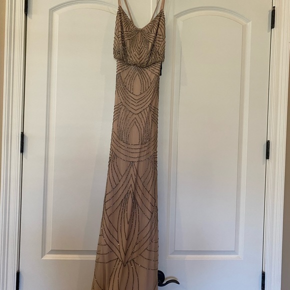 Adrianna Papell gown. Never worn. New with tag. Size 0. - Picture 6 of 10